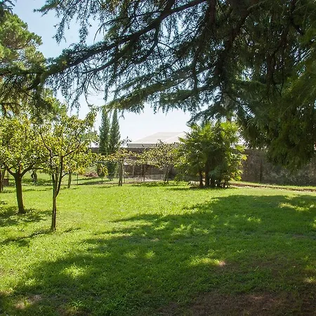 Bed & Breakfast Gaia *